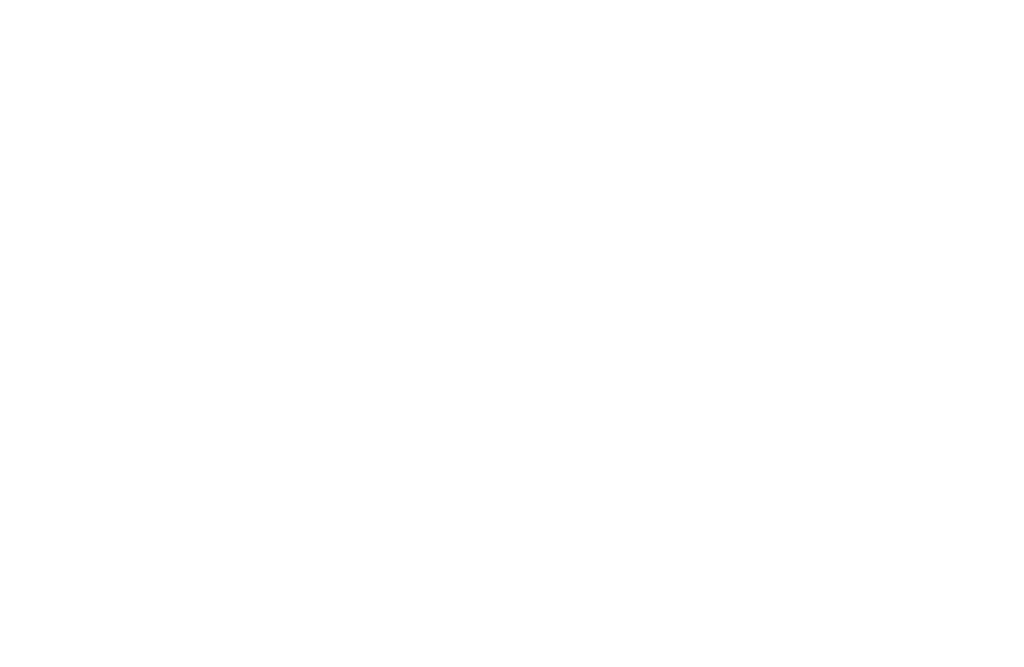 Karin amann logo weiss