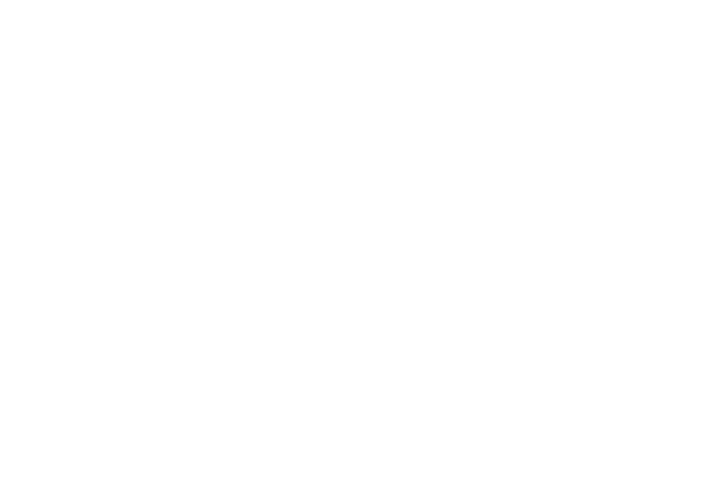 Karina amann logo weiss